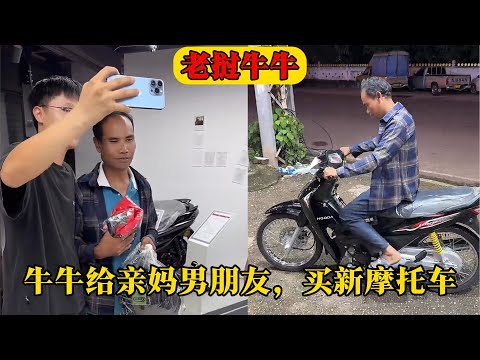 篮球公园,辽粤巅峰对,决即将,赢彩网,彩票平台,安全购彩,在线投注,彩票分析