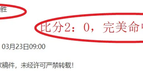 柏林联VS不来梅：德甲第34轮焦点战
